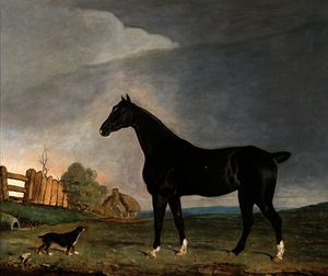 Edwin Cooper - A dark bay horse and a terrier in a landscape