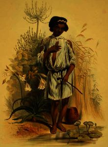  Paintings Reproductions a Half Caste Kafir Boy by George French Angas (1822-1886, United Kingdom) | WahooArt.com