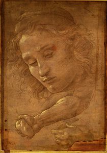 Sandro Botticelli - Head of a youth