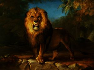 William Huggins - A lion,