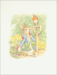 Beatrix Potter - Peter rabbit 1a - (11x13)