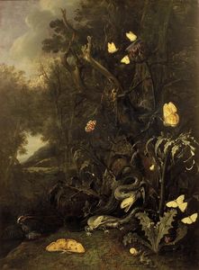 Otto Marseus Van Schrieck - Plants and Insects
