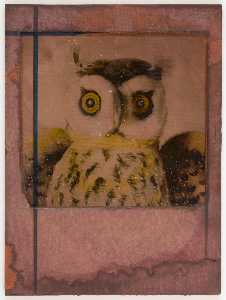 Joseph Cornell - Untitled (close up of owl)