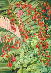 Marianne North - Fern and Flowers Bordering the River at Chanleon, Chili