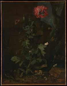 Otto Marseus Van Schrieck - Still Life with Poppy, Insects, and Reptiles