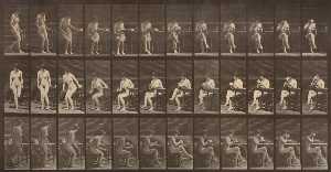 Eadweard Muybridge - Woman Seated, Legs Crossed, Drinking from Teacup, from the book Animal Locomotion