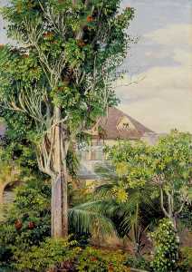 Marianne North - The Garden of King's House, Spanish Town, Jamaica