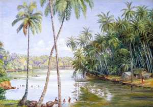 Marianne North - Cocoanut Palms on the River Bank near Galle, Ceylon