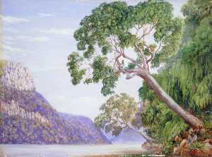 Marianne North - Kaffir Plumtrees Overhanging St John-s River, Kaffraria