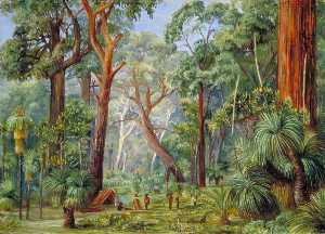 Marianne North - Scene in a West Australian Forest