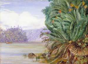 Marianne North - A View on the Knowie River, South Africa