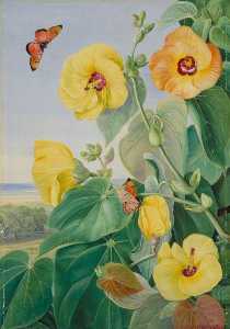 Marianne North - A Tree of the Sea Shore, St John-s River, Kaffraria