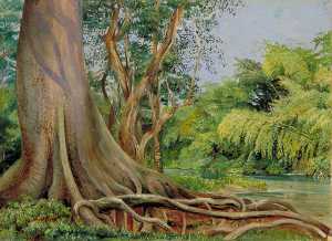 Marianne North - Snake Tree and Bamboos on Spanish River, Jamaica