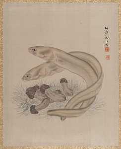 Seki Shūkō - Eels