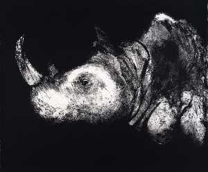 Aubrey Schwartz - (A Bestiary, portfolio) Rhinocerus