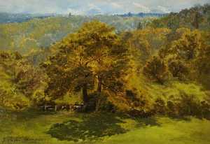 John Clayton Adams - In the Surrey Woods