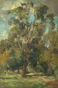 William Bruce Ellis Ranken - Trees