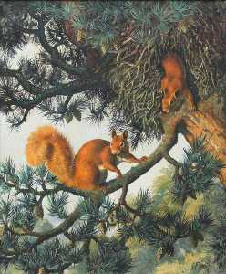 Charles Frederick Tunnicliffe - Red Squirrels