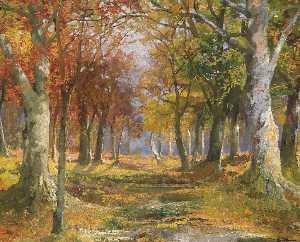 Karl Vikas - Forest in Autumn