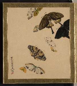 Shibata Zeshin - Lacquer Paintings of Various Subjects: Butterflies