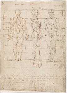 Carlo Urbino - Codex Huygens Fol. 3