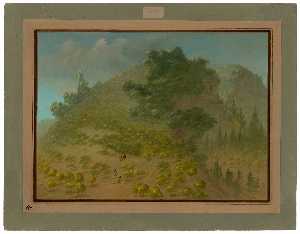 George Catlin - Rhododendron Mountain