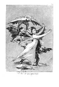 Francisco De Goya - You will not escape