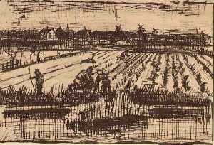Vincent Van Gogh - Potato Field