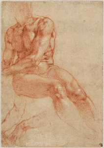 Michelangelo Buonarroti - Seated Young Male Nude and Two Arm Studies (recto), c. 1510-11