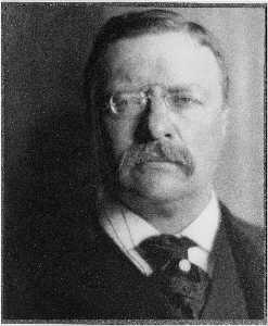 Alvin Langdon Coburn - Theodore Roosevelt