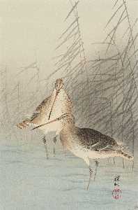Ohara Koson - Two bar-tailed godwits.