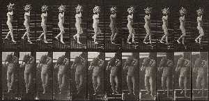 Eadweard J Muybridge - Animal Locomotion, Plate 136