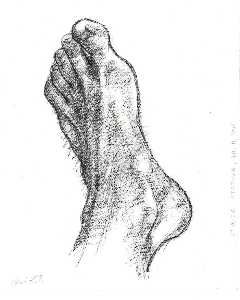 Krupa - Foot study (30.11.1991)